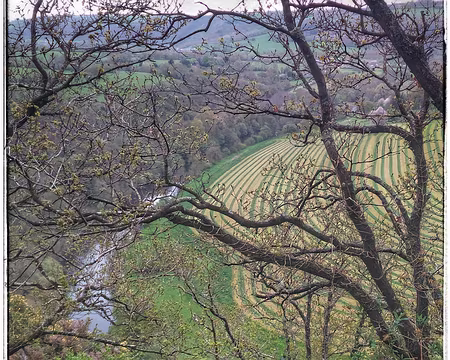 P_20170415_112732-01-01