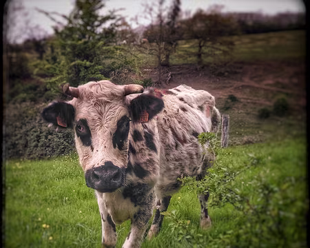 P_20170415_114719-01z2073