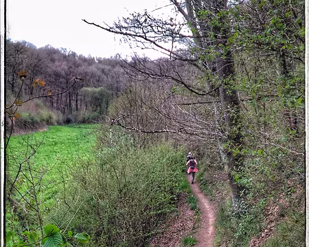 P_20170415_153131-01