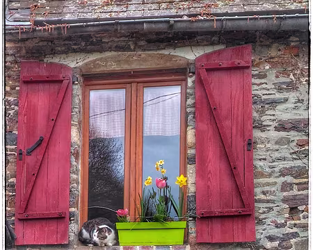 P_20170417_101536-01