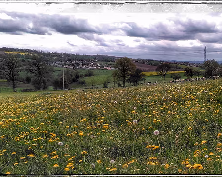 P_20170417_150332-01