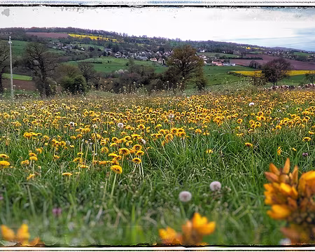 P_20170417_150400-01