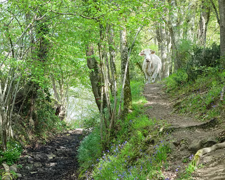 DSC02995 Rencontre champêtre