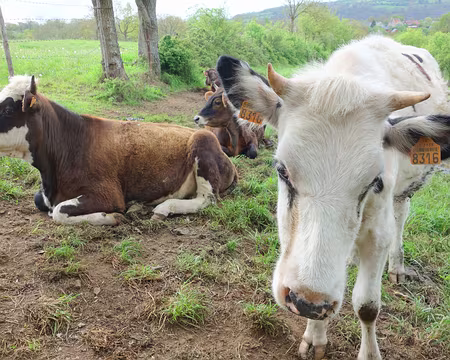 DSC03288 Les confidences de 8316