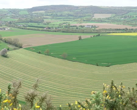 DSC03294 Le choc visuel