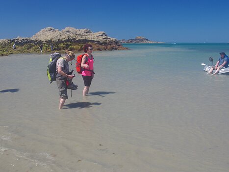 Olivier Olivier M, détail sortie