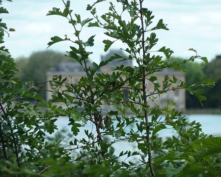 Chateau le Marai au Val Saint-Germain Chateau le Marai au Val Saint-Germain