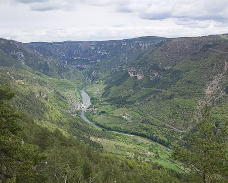 2017_05_03-12_00_48 Les Vignes. Nous descendons le Tarn en bordure de causse par la rive droite