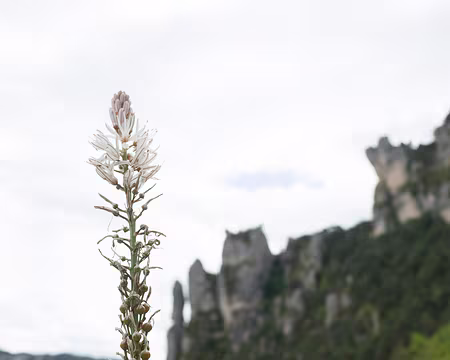 2017_05_03-15_10_34 Photographie