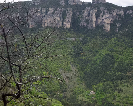 2017_05_03-15_34_14 Voisin d'en face