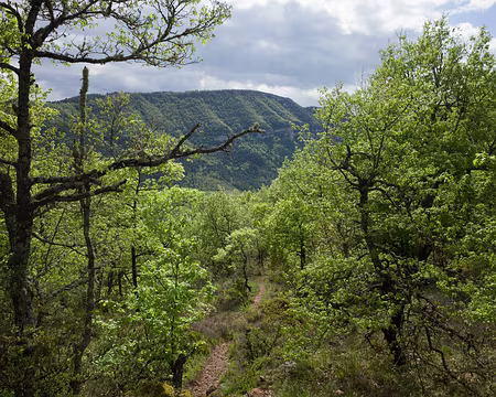 2017_05_03-16_28_36 Descente vers le Rozier, à la confluence de la Jonte et du Tarn