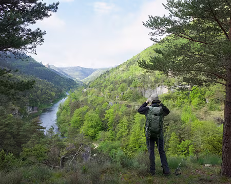 2017_05_04-09_29_02 Vue vers l'aval du Tarn dont nous remontons la rive gauche, la route étant sur l'autre rive