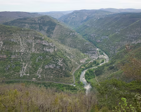 2017_05_05-09_46_44 J3 - Au-dessus de la Malène, nous allons redescendre vers Peyreleau par le bord du causse en rive gauche