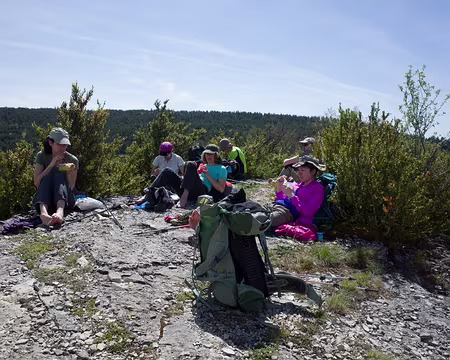 2017_05_05-12_04_32 Pique-nique