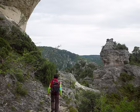 2017_05_05-18_22_59 Superbe sentier Jacques Brunet