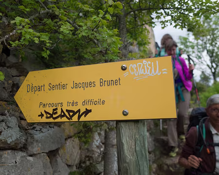 2017_05_05-19_00_51 CAF not dead !