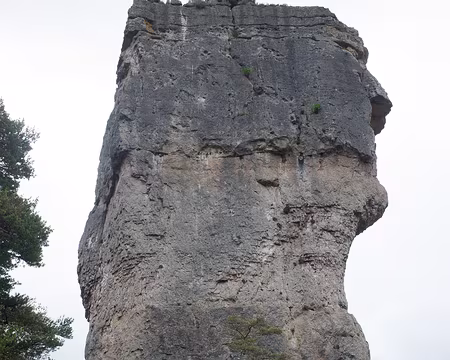 2017_05_07-10_07_46 Vase de Sèvres