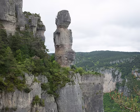 2017_05_07-10_11_57 Vase de Chine