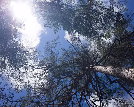 2017_05_07-13_03_37 Sieste