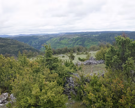 2017_05_07-14_27_29 Là, notre chemin se perd, nous marchons hors-sentier jusqu'à la route en contrebas et le joli sentier que nous retrouvons de l'autre côté
