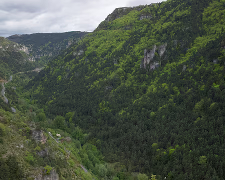 2017_05_07-15_41_29 Les Douzes au bord de la Jonte