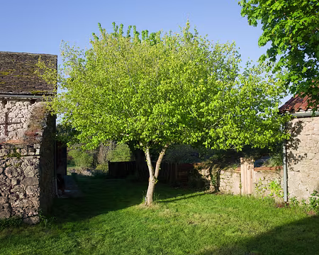 2017_05_08-07_47_05 J6 - Soleil printanier au petit déjeuner