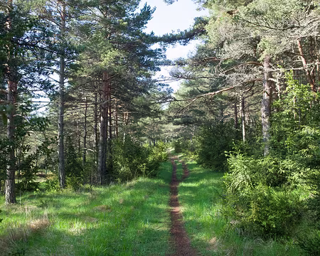 2017_05_08-08_43_04 Les mains servent toujours seulement à s'équilibrer