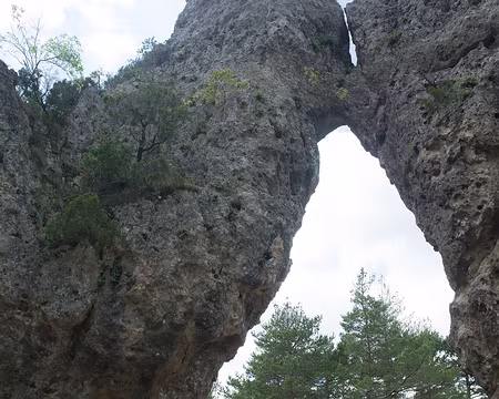 2017_05_08-15_03_09 Groupe au complet à Montpellier-le-Vieux