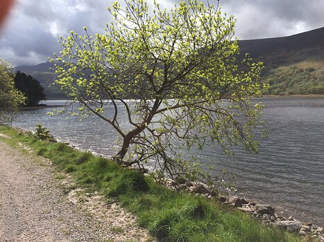 Brigitte Brigitte V, détail sortie