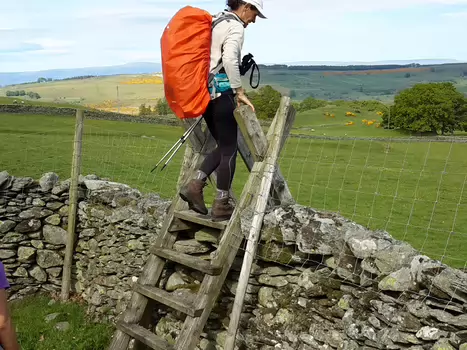 Isabelle Isabelle T, détail sortie