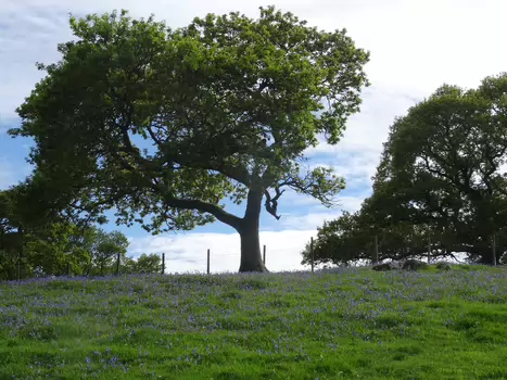 Joël Joël R, détail sortie