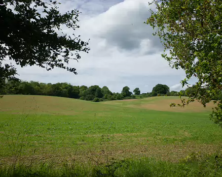 2017_05_15_13-38-24 Campagne d'enfance