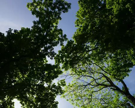 2017_05_15_15-16-06z2090