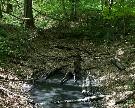 2017_05_15_15-56-44 Mare noire