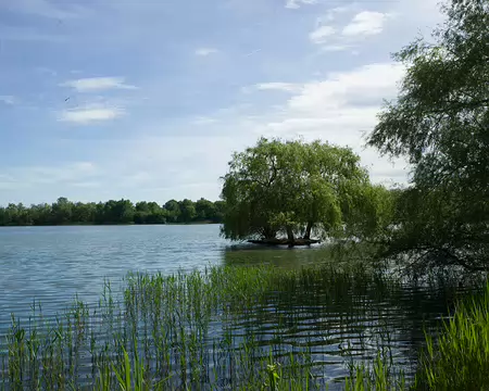 2017_05_15_16-48-14 Étang Des Noës