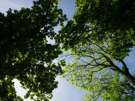 Alain Alain Z, détail sortie