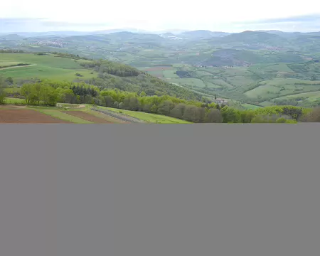 DSCN5588