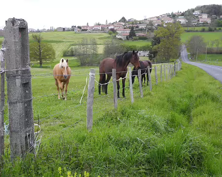 DSCN5617 la Chapelle-sur-Coise