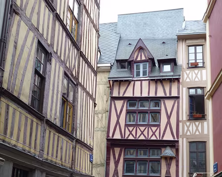 P1040530 ...aux couleurs variées.