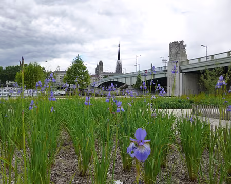 P1040539 Le pont Boieldieu et la Cathédrale