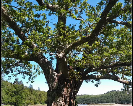 Morbihan 17 (13)