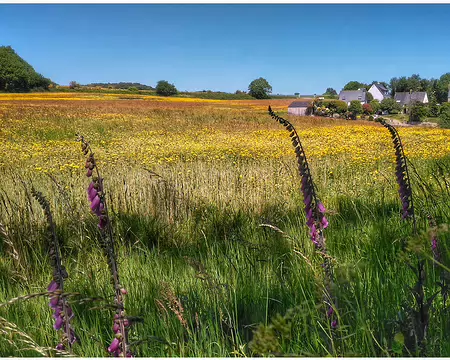 Morbihan 17 (17)