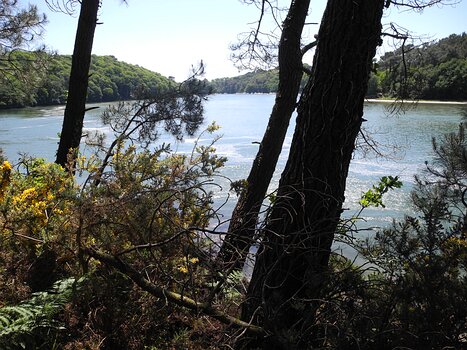 Claude Claude R, détail sortie