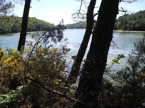 Claude Claude R, détail sortie