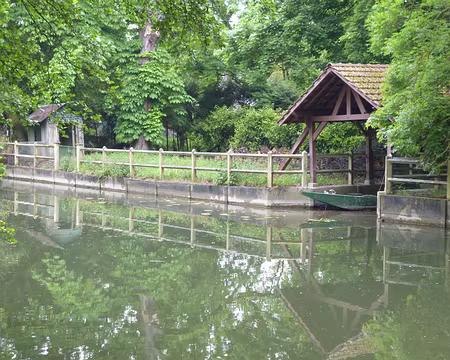 P1040412z2097 Bords de l'Yerres à Mandres-les-Roses