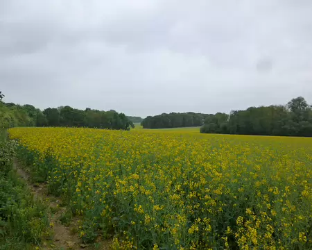 P1040424