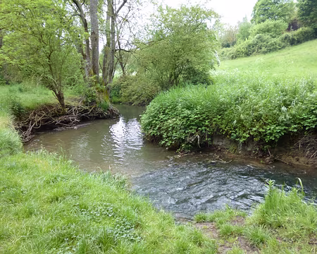 P1040429 Le Réveillon, affluent de l'Yerres