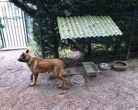 P1040430 Que garde-t-il ?