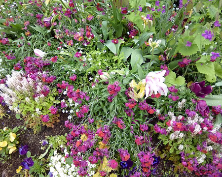 P1040431 Ce dimanche 7 mai, notre groupe s'est mis en marche de Yerres à Boissy-Saint-Léger... Merci à Jean-Claude.