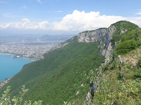 Florence Florence LP, détail sortie